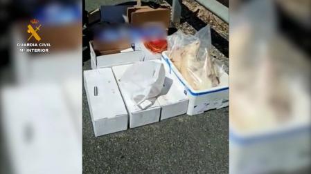 Interceptados 100kg de alimentos en una furgoneta sin mantener cadena frío