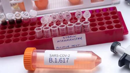 La variante india del SARS-CoV-2 está catalogada, de momento, como variante en investigación.
