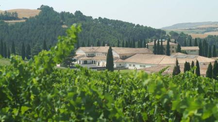 Grupo BORNOS regala 15.000 botellas al sector hostelero