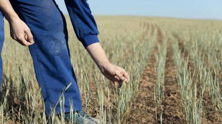 312 perceptores de ayudas PAC en Navarra ingresan más de 50.000 euros