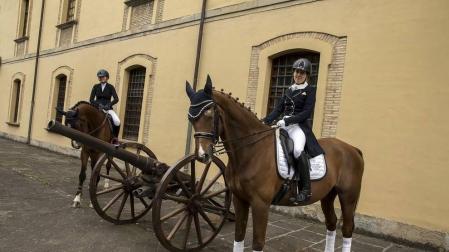 Del 2 al 12 de septiembre participarán los mejores jinetes nacionales en diferentes pruebas de salto y doma que tendrán acceso gratuito.