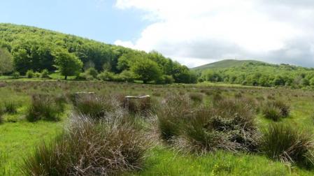 Navarra se suma este viernes al Día Europeo de la Red Natura 2000