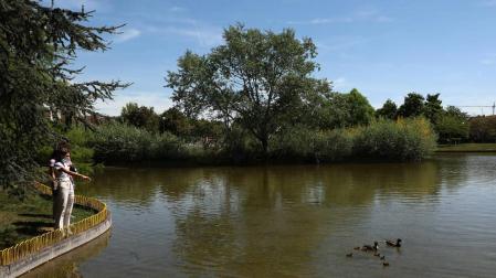“Si es perjudicial, no alimentaremos a los patos”