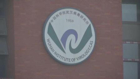 Biden da un plazo de 90 días para que los servicios de inteligencia para descubrir el origen del coronavirus