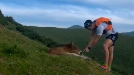 Rescata a un potro atrapado en un agujero en el monte Saioa