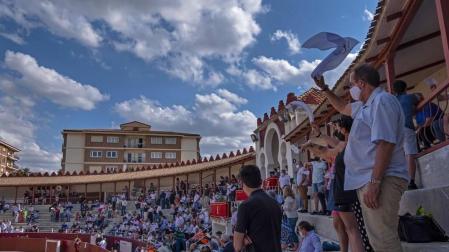 Triunfal novillada en Estella, para toros, toreros y público