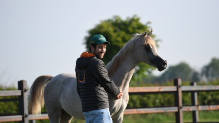 Un pamplonés, criador de caballos en una granja de Chimay (Bélgica)