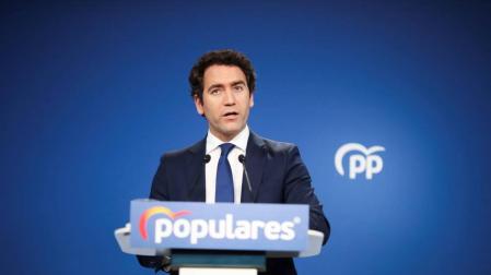 El PP denuncia que Bildu no condene la agresión a su dirigente de Álava