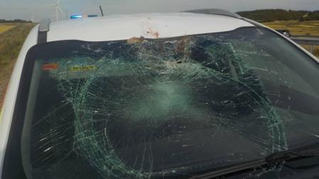 Policía Foral atiende cinco accidentes con animales en un día