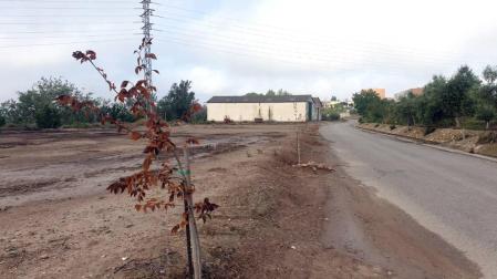 Vandalizan el paseo dedicado a las víctimas de covid