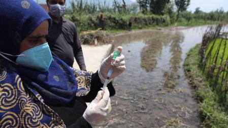 ¿Qué es el peligroso Hongo Negro y por qué alarma al mundo en la pandemia?