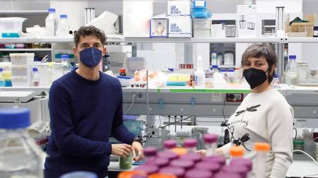 Dos investigadores de la UPNA plantean usar bacterias contra la polilla del boj