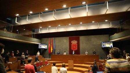 Minuto de silencio en el Parlamento Foral por la mujer asesinada en Madrid
