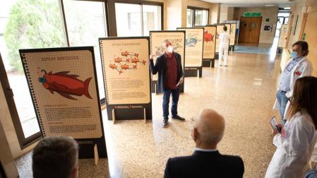 'Los otros peces del río' se expone en el Hospital Reina Sofía de Tudela