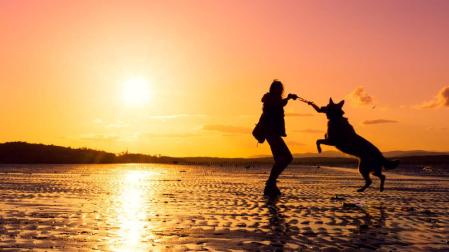 Fotografía de mascota en la playa.