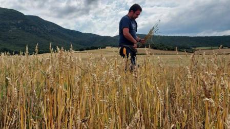 El pedrisco ya ha ocasionado daños por más de 5 millones en el campo navarro