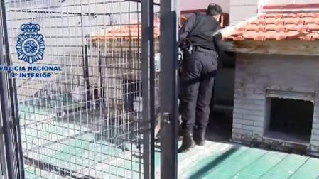 Cae una red de proxenetas y blanqueo con 30 detenidos en Castilla y León