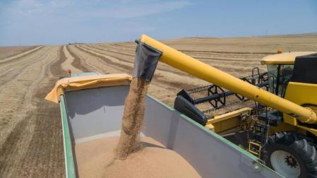 El agro navarro, ante una cosecha de cereal con menos kilos y precios altos