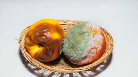 Alimentos con moho