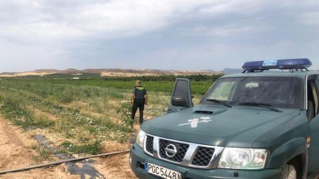 La explotación en la que se produjo el hurto se encuentra en la Merindad de Tierra Estella