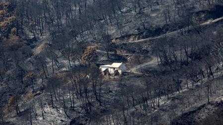Vista general de la zona quemada por el fuego del incendio de Sierra Bermeja
