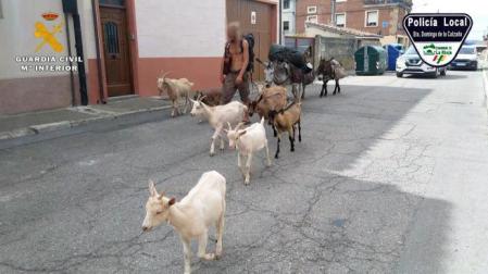 El peregrino, junto a los animales