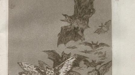 Grabado de 'Los Caprichos' de Goya

AYUNTAMIENTO DE SANTANDER

22/09/2021