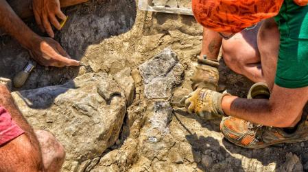 Los últimos hallazgos en el paraje de "Peña Cárcena", en Igea, (La Rioja), constituyen "un éxito" para el campo de la paleontología mundial