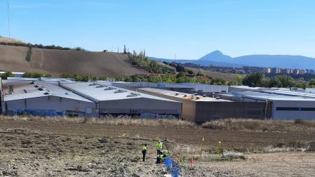 Plantación de árboles
AYUNTAMIENTO DE PAMPLONA
18/10/2021