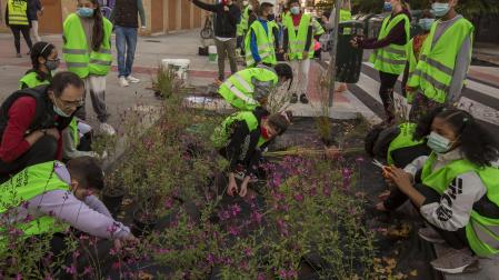 Plantación del alumnado de los colegios Rochapea y La Compasión Escolapios