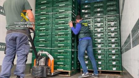 Efectivos de Guardia Civil en la operación Torcal 131-Guadalciro, con once detenidos acusados de transportar droga oculta entre toneladas de coliflores