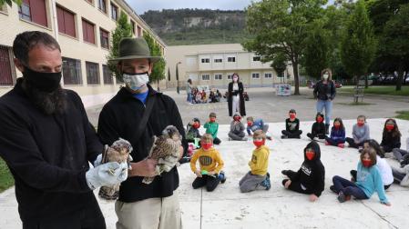 Técnicos de Ilundáin con los dos ejemplares de halcón peregrino el día que llegaron a Ansoáin. Les observan escolares de Ezkaba