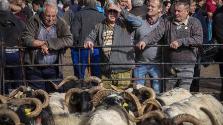 La última edición de la feria de Elizondo, en 2019