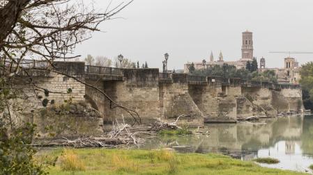 Imagen actual del puente del Ebro con numerosos restos de árboles junto a los tajamares y la Catedral, al fondo