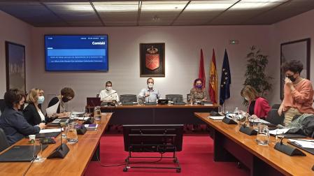 Representantes de la Asociación de Mujeres Periodistas Navarras, durante su comparecencia en la Comisión de Presidencia, Igualdad, Función Pública e Interior del Parlamento de Navarra