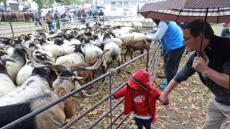 Imágenes de las ferias de Elizondo