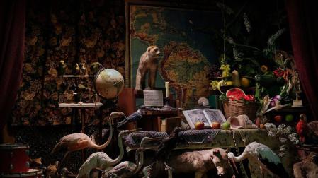 Fotograma de Love Needs Time to Kill, la película de Txupo Poyo sobre los gabinetes de Ciencias Naturale