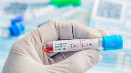 Variante Delta conocida como 'AY4.2'