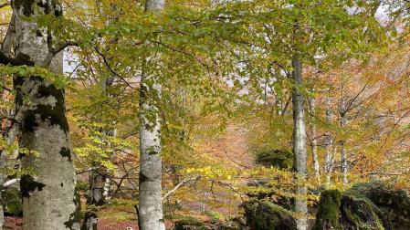 Otoño en la Sierra de Urbasa