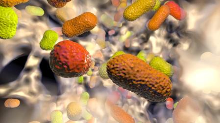 Ilustración de bacterias multirresistentes, como la Acinetobacter baumanni