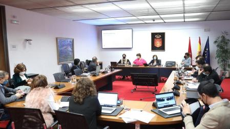La Asociación de Familias Numerosas ha comparecido en comisión