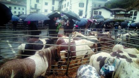 En primer término, un recinto acotado con ponis en una mañana lluviosa
