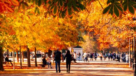 Varias personas pasean por un parque