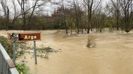 Arga en Villava
