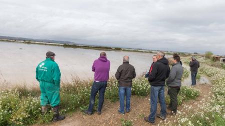 Agricultores miran campos con cultivos totalmente anegados por el agua en un términos de Cadreita