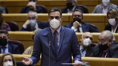 El presidente del Gobierno, Pedro Sánchez, interviene en una Sesión de Control en el Senado