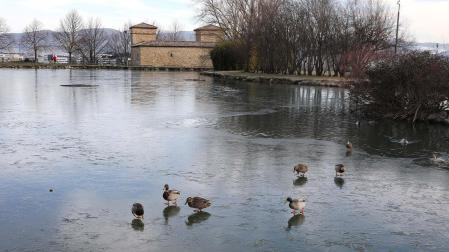 Imagen del año pasado, cuando el lago de Mendillorri se congeló