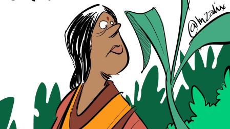 Janaki Ammal, en una ilustración