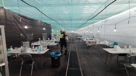 Invernadero en Milagro donde se ha producido el suceso