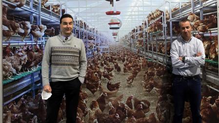 Álvaro Hurtado (izquierda) y Pedro Cervera, gerente y director de ingeniería de Zucami, respectivamente, posan delante de una fotografía de una de las naves con las instalaciones para gallinas que fabrica la empresa